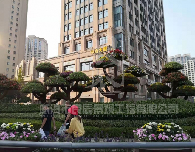 青岛国庆绿雕及花树造型